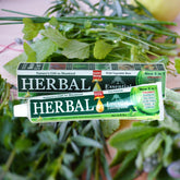 HERBAL PLUS TOOTHPASTE